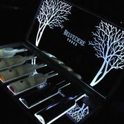 Belvedere party