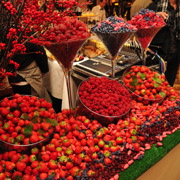 Prix de Flore 2010