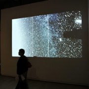 Vernissage Wani