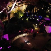 Spike Jonze Party
