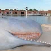 Best of Biennale de Venise 2011