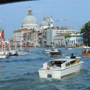Best of Biennale de Venise 2011
