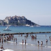 Calvi on the beach
