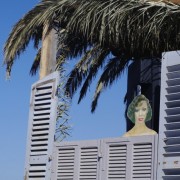 Calvi on the beach