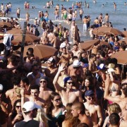 Calvi on the beach