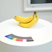 Vernissage Fiac 2011