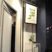 Vernissage Cabinet de curiosités de Thomas Erber