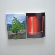 Vernissage Dan Flavin & Lionel Esteve