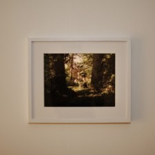 Vernissage "Into the Woods" &agrave; la Galerie des Galeries/Galeries Lafayette/