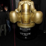 Belvedere party
