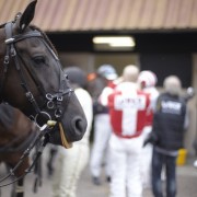 La Course Décalée