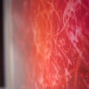 Vernissage 