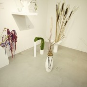 Preview Camille Henrot
