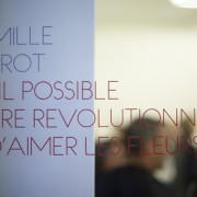 Preview Camille Henrot