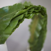 Preview Camille Henrot