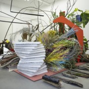 Preview Camille Henrot