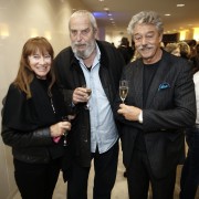 Vernissage Felice Varini