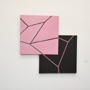 Vernissage FIAC 2012
