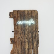 Vernissage FIAC 2012