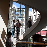 Cool Cats Store