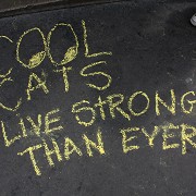 Cool Cats Store